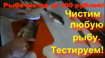 Рыбочистка за 100 рублей! Чистит любую рыбу. Тестируем!