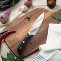 Fissman Нож Fissman Hattori поварской 15 см кухонный нож